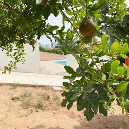 Naufragos Hébergement de vacances Torrevieja