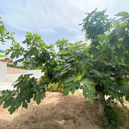 Naufragos
